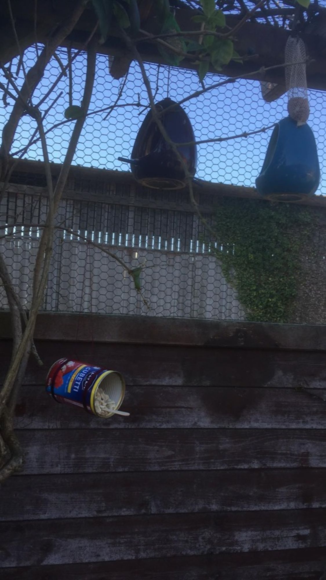 Voederhuisje voor vogeltjes