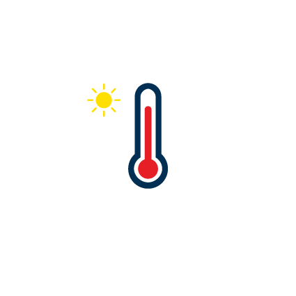 Groeit in warme klimaten.