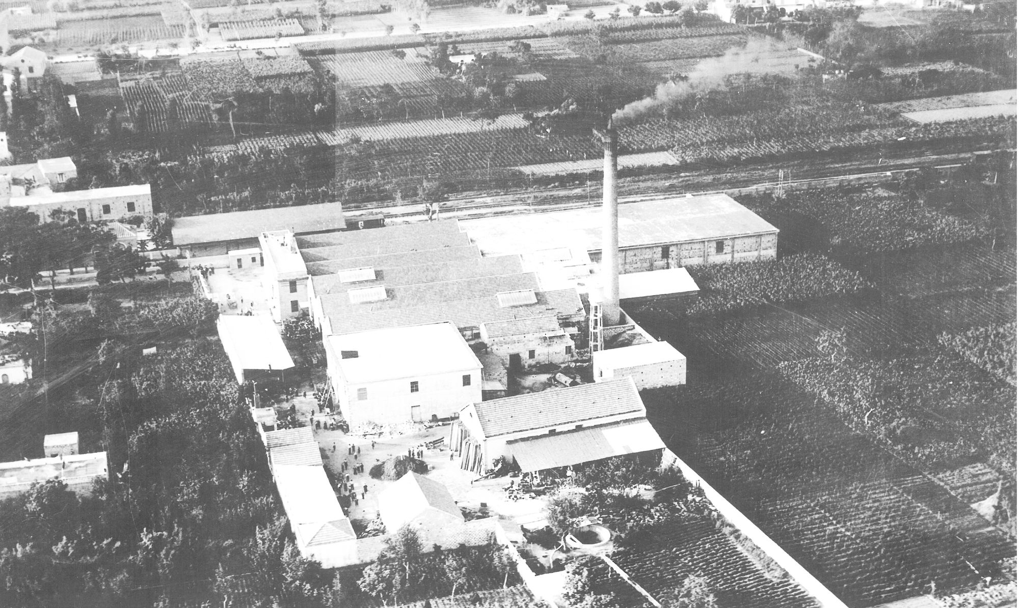 Luigi start bouw tomatenfabriek