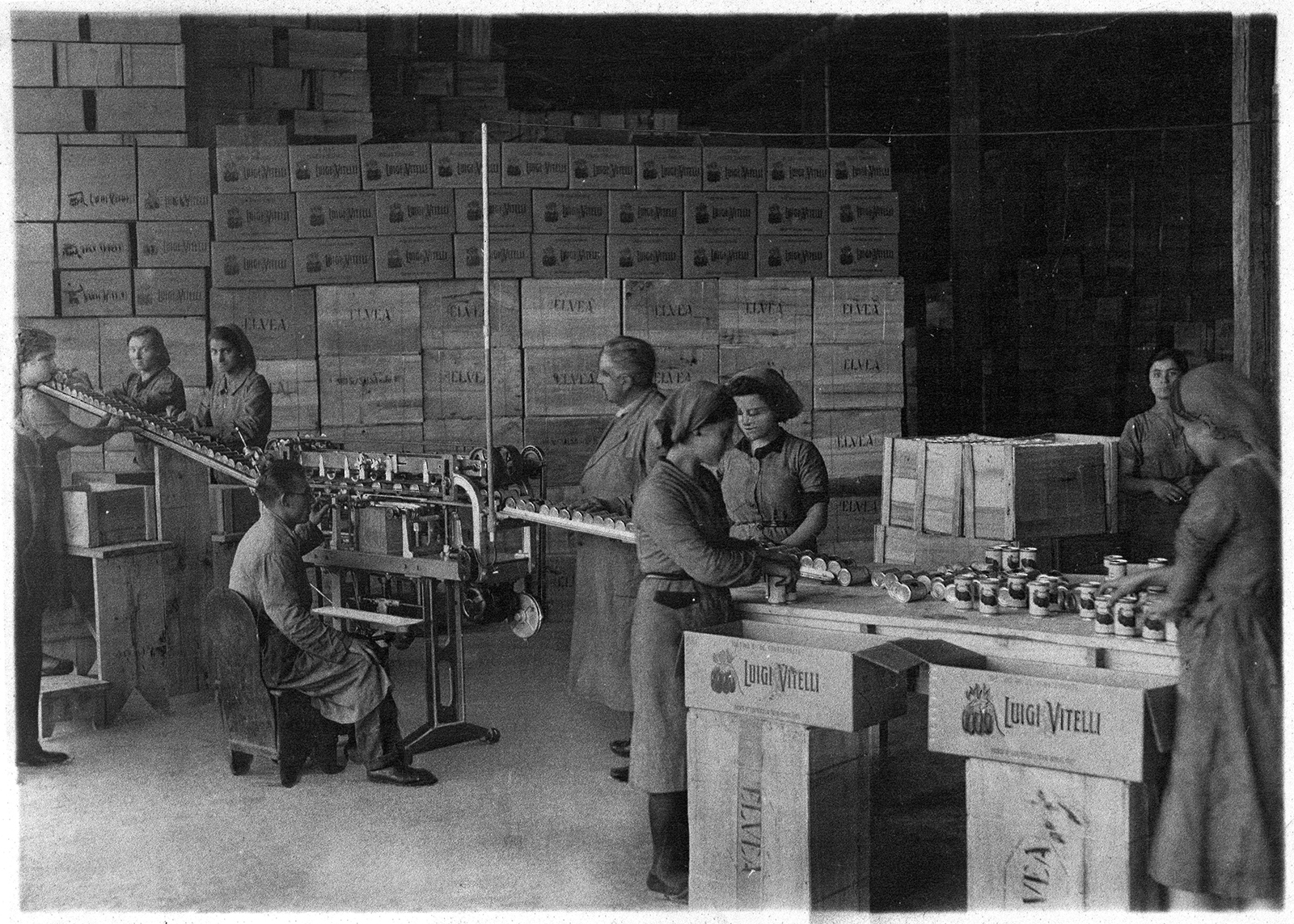 Het merk Luigi Vitelli