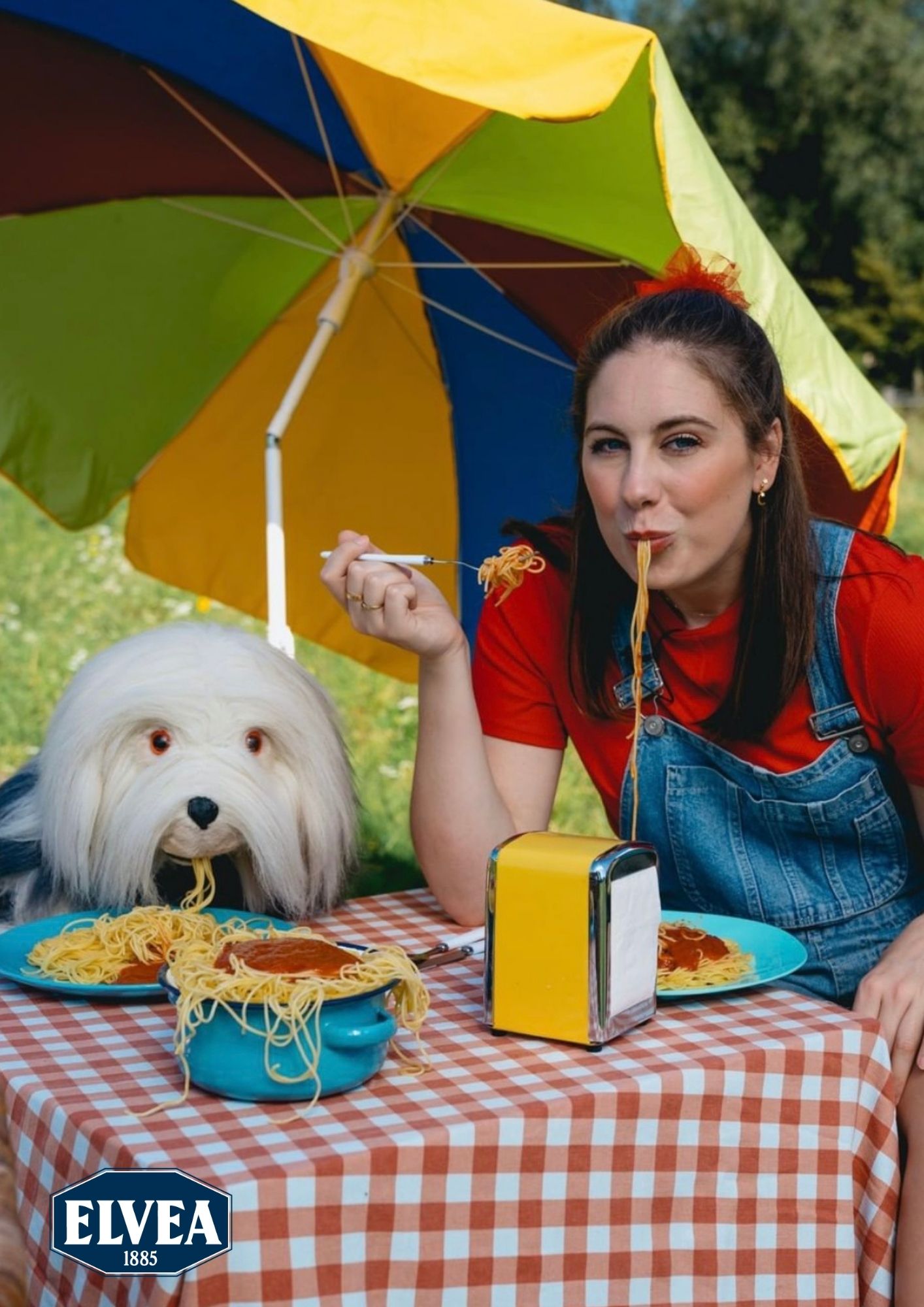 Elvea en Plopsaland slaan de handen in elkaar!