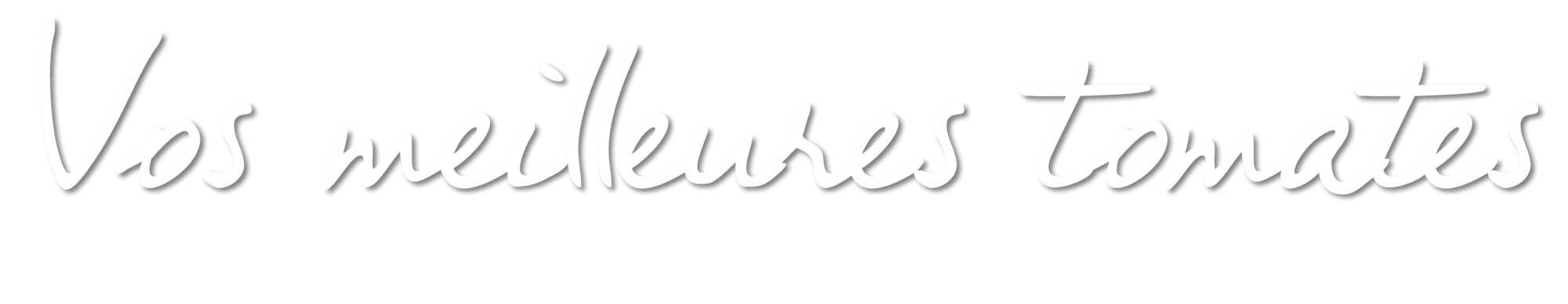 Vos meilleures tomates